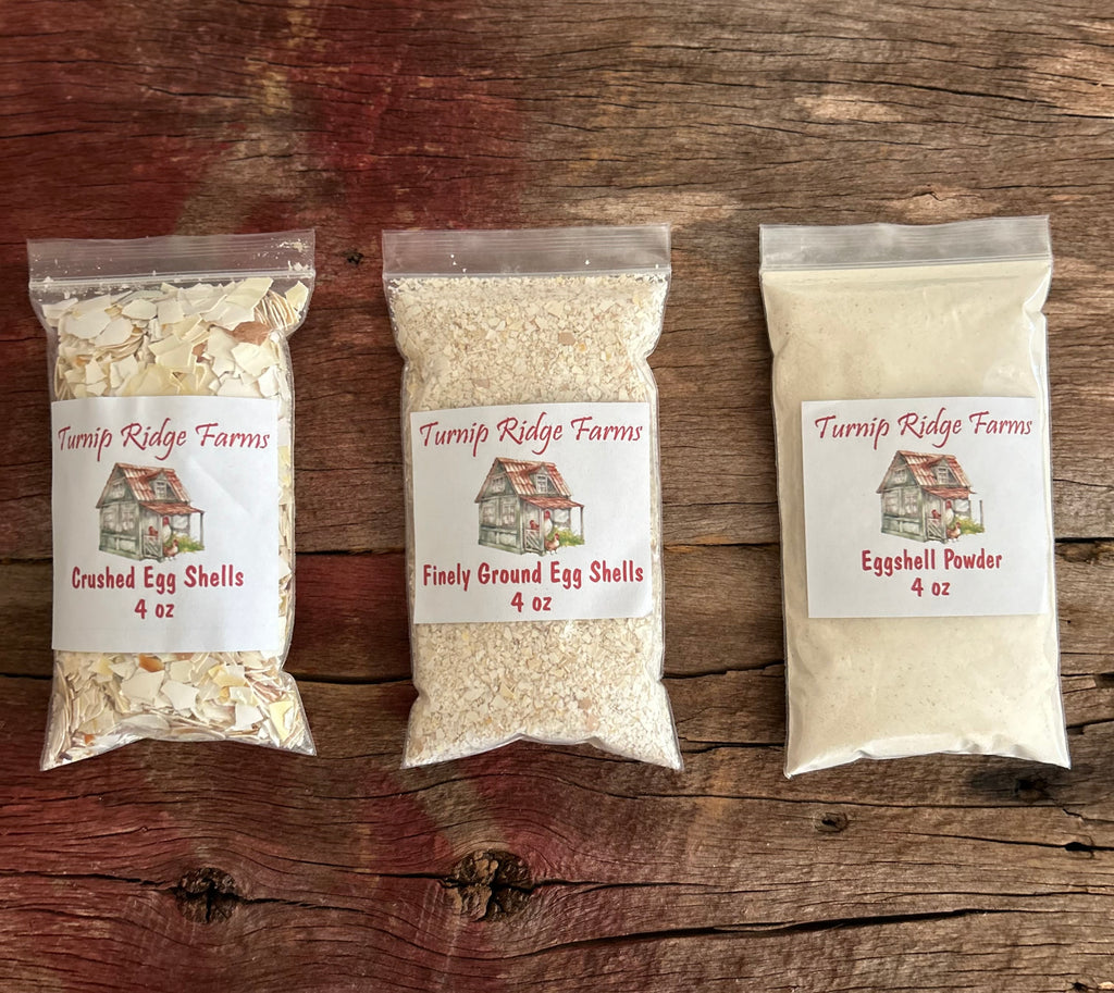 Eggshell sample Packet