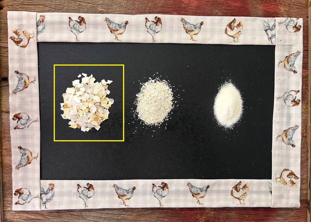 Three variations of eggshells on a black surface with decorative chicken patterned border